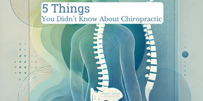 5 Things You Didn’t Know About Chiropractic 5 Things You Didn't Know About Chiropractic
