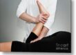 Chiropractic Care Services Fort Collins CO