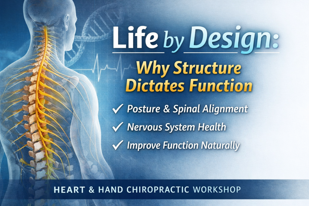 Chiropractic workshop in Fort Collins about Life By Design: Why Structure Determines Function, helping patients improve posture and body mechanics through natural, nervous system-based care.